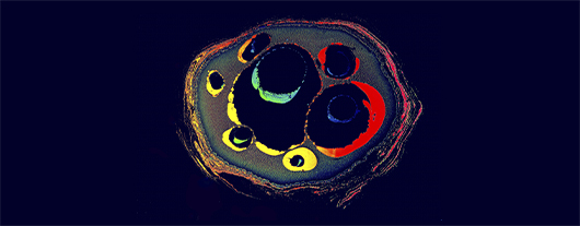 slide-2